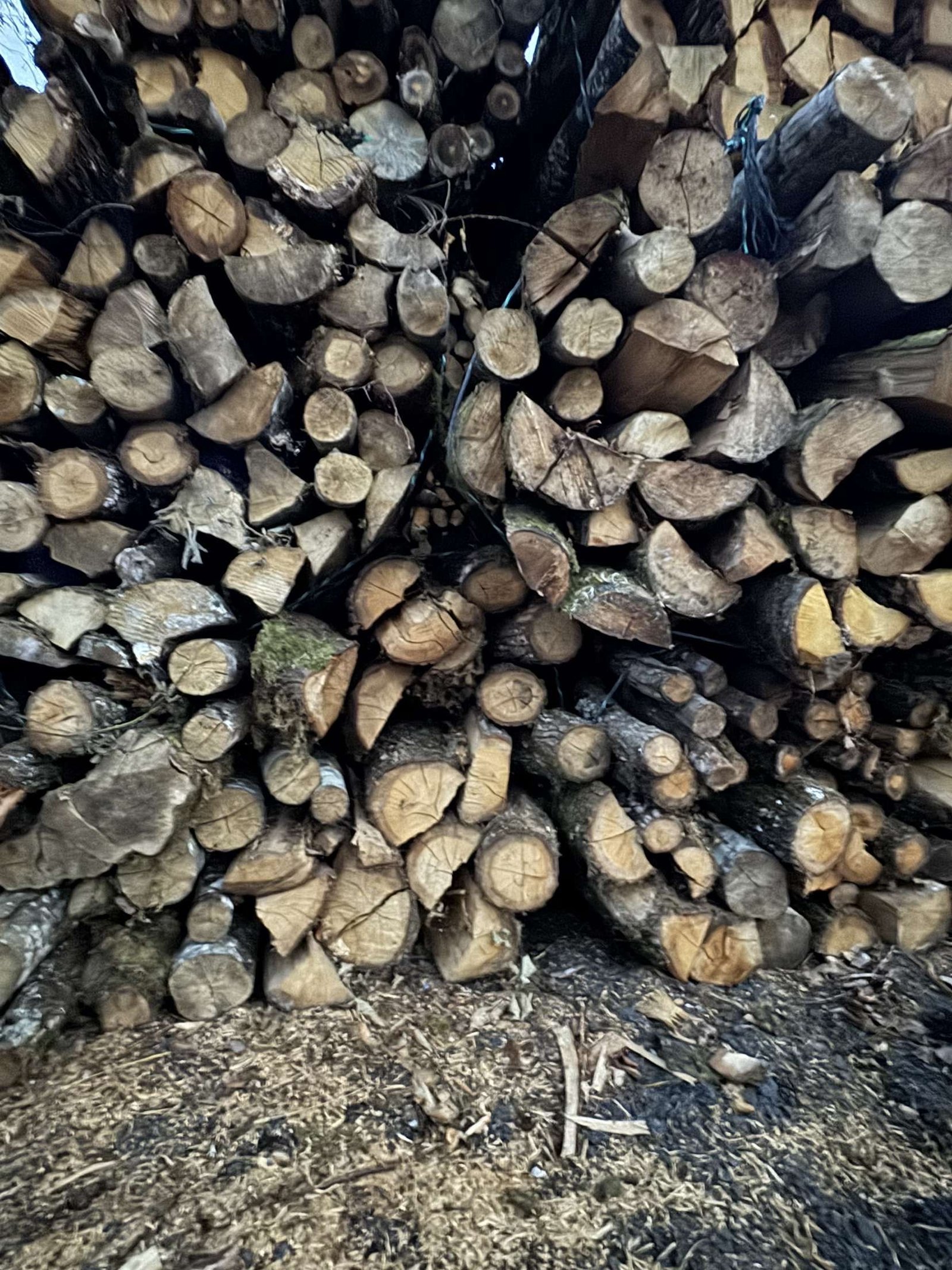 Bois stocké sous abri