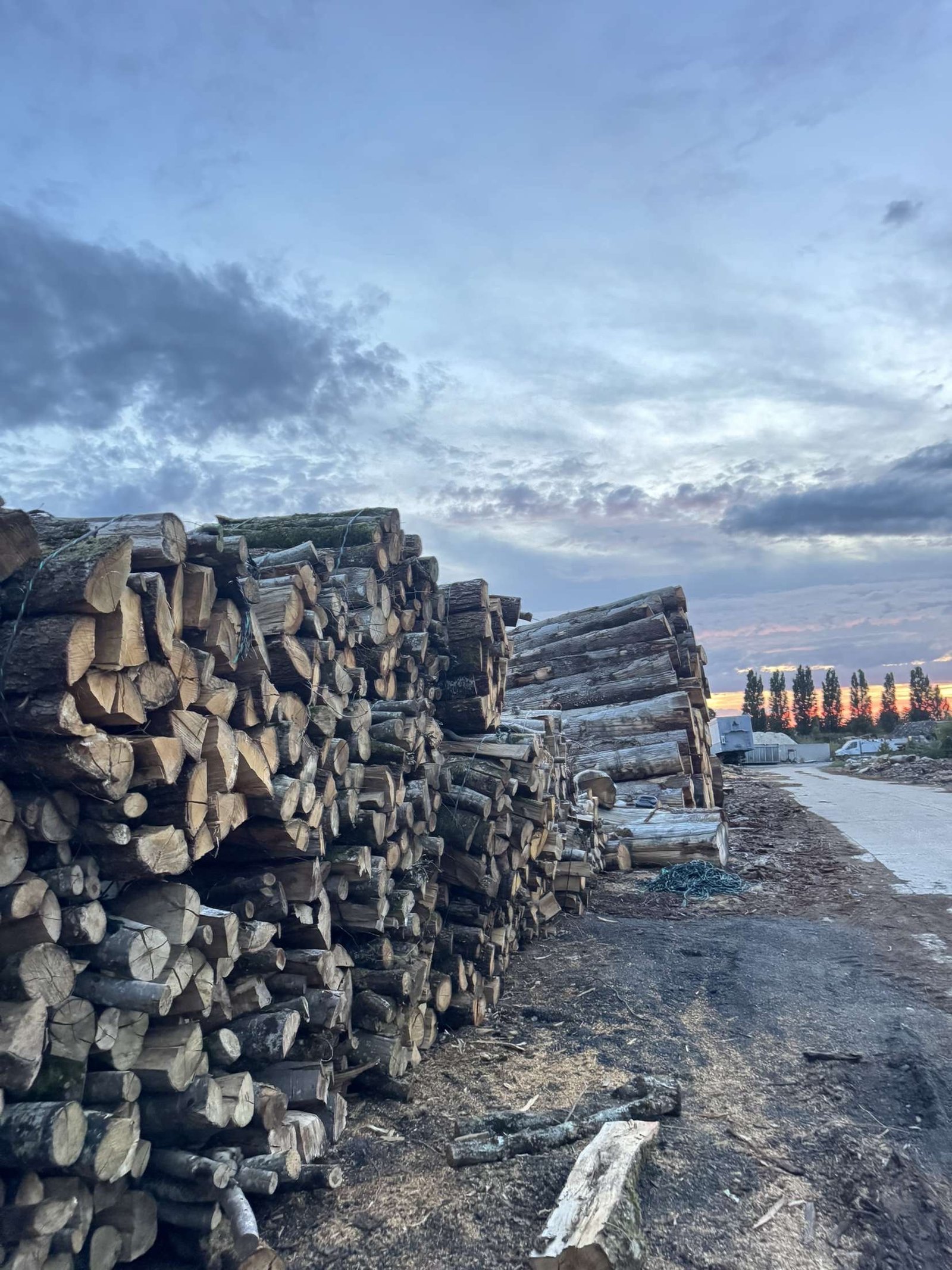 Stères de bois sec