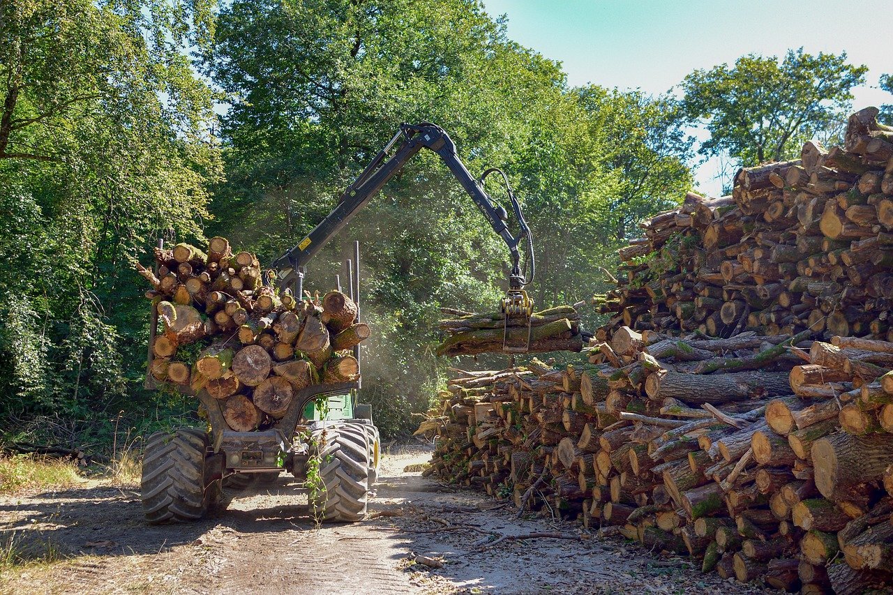 Approvisionnement forestier